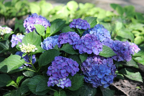 Comment déménager rapidement et efficacement en période de haut trafic?